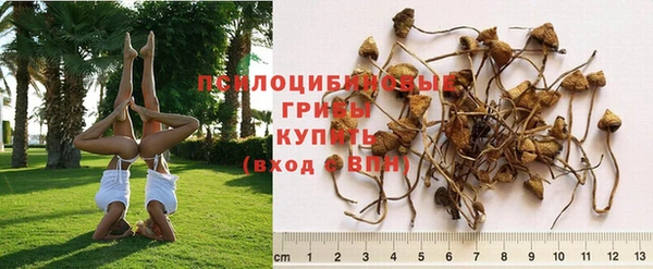 герыч Абинск