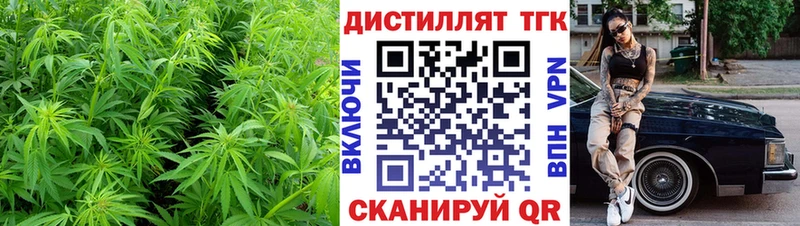 ТГК Wax  Волгоград 